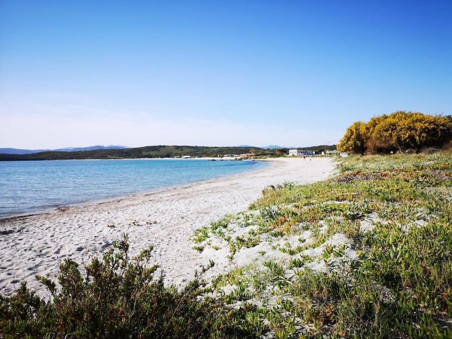 Monolocale A Due Passi Dal Mare Apartment Olbia Exterior photo